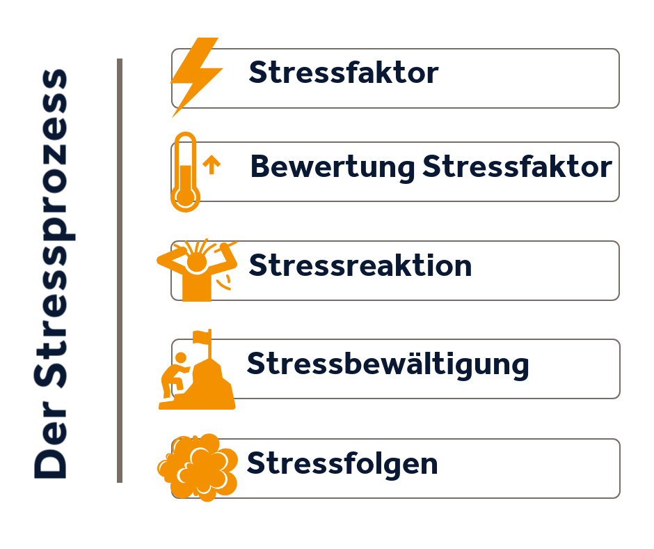 Stress adé | Teil 1 – Stress verstehen | Wir Kaufleute