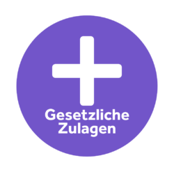 Icon_gesetzliche Zulagen