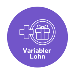 Icon_variabler Lohn